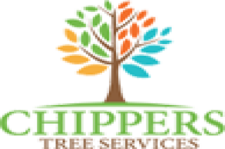 Tree Pruning Services in Dallas Fort Worth