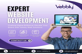 Professional Website, Software & Mobile App Development Services | Vebbly