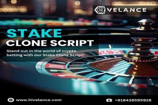 Stake Clone Script - Your Partner for Developing a High-Quality Betting App