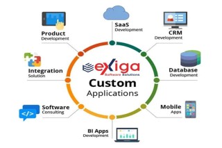 Custom Web Application Development Singapore 