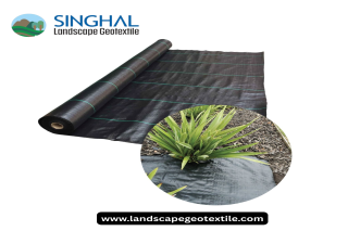 Durable Ground Cover for Landscaping