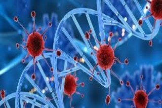 CAR T-Cell Therapy in Gurgaon