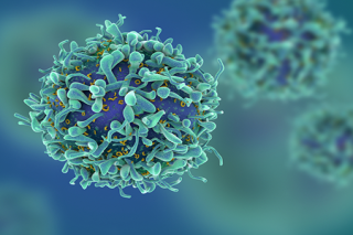 Prostate Cancer Treatment in Delhi NCR