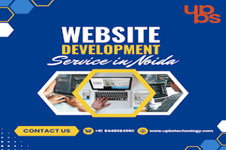 Professional Website Development Services in Noida