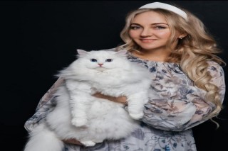 Siberian Kitten for Sales 