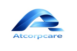 Chartered Accountant in Delhi NCR