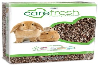 Greenies Petite Original Dental Primate Chews