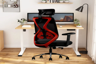 Buy Executive Chair Online - CELLBELL 